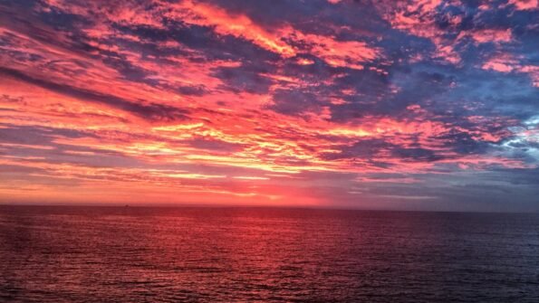 维生素D和常见皮肤疾病的关联 - deepak.icu