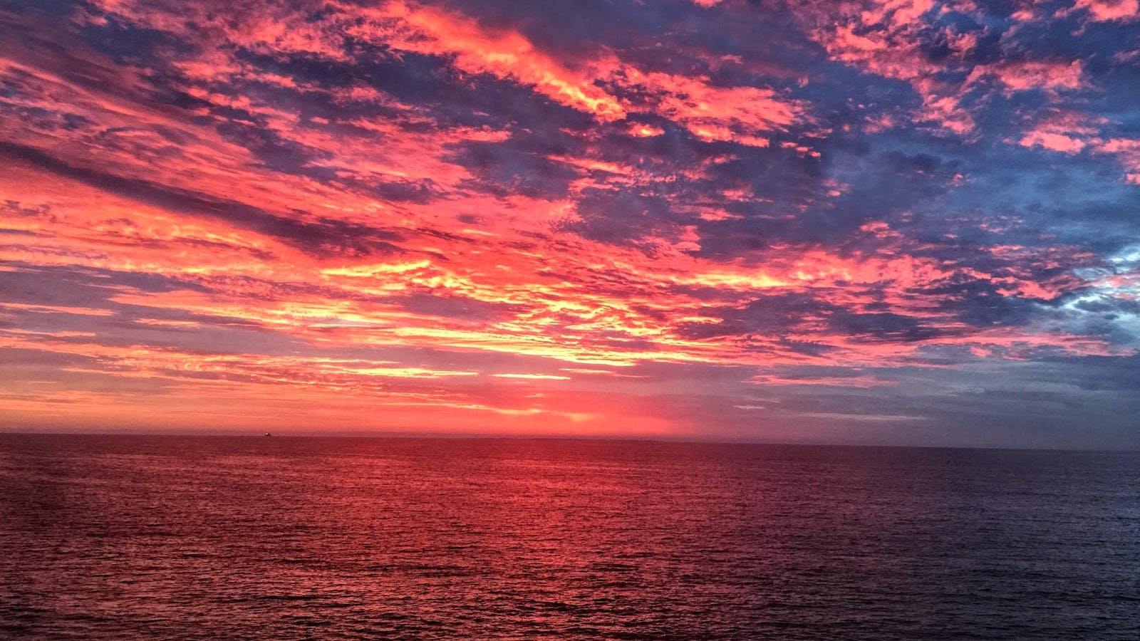 维生素D和常见皮肤疾病的关联 - deepak.icu