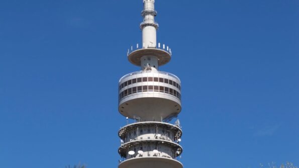 营养素辅助：维生素D、锌、硒的协同作用 - deepak.icu