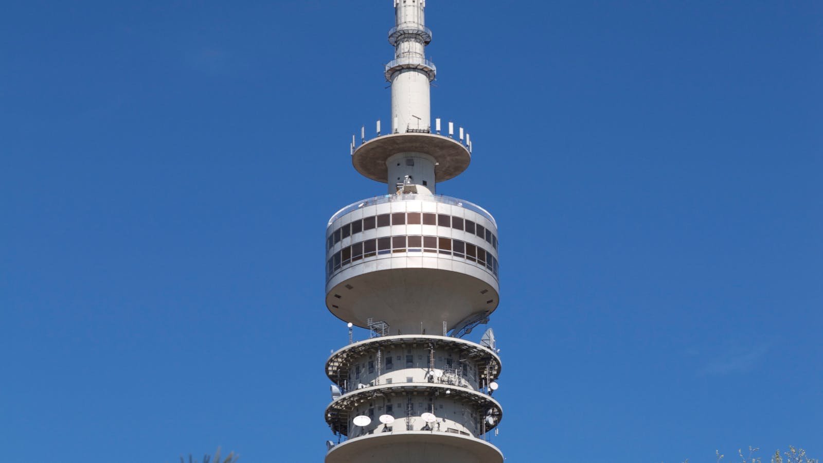 营养素辅助：维生素D、锌、硒的协同作用 - deepak.icu