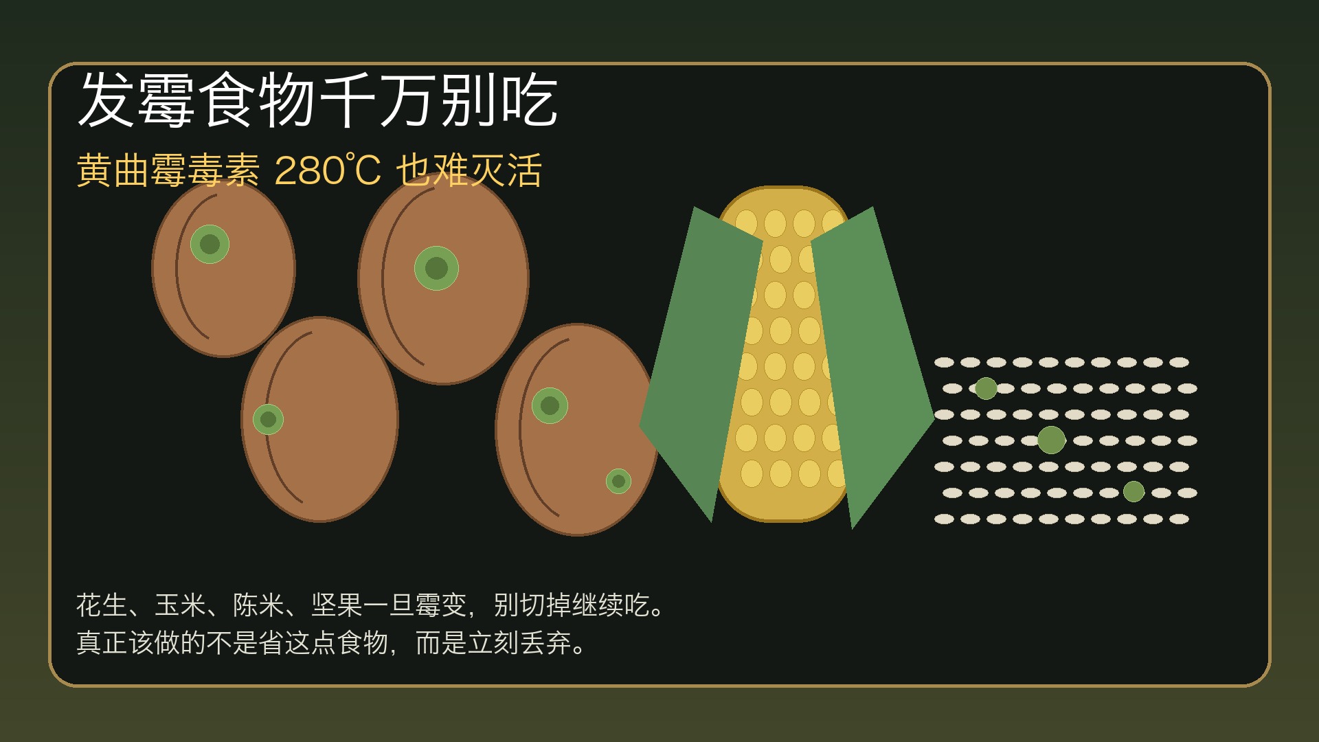 发霉花生玉米与黄曲霉毒素风险的食品安全封面图