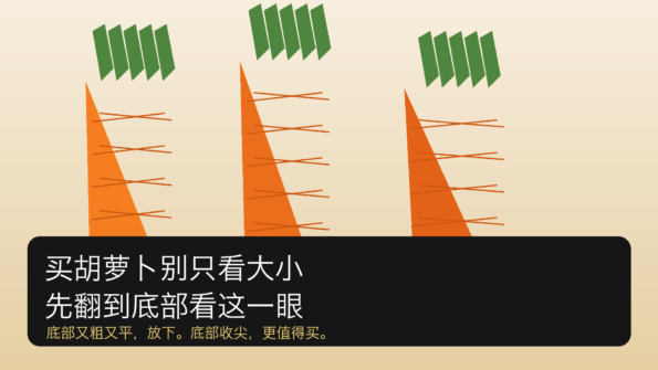 超市菜摊胡萝卜选购场景封面图，强调通过底部形状辨别自然生长胡萝卜