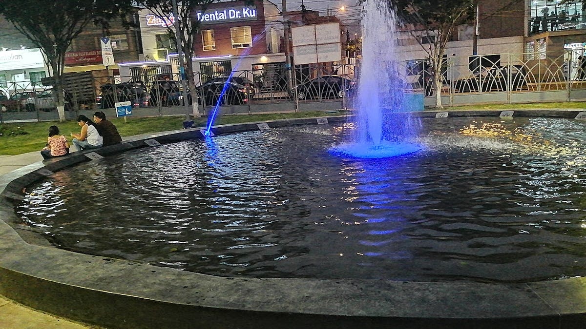 花青素补充指南