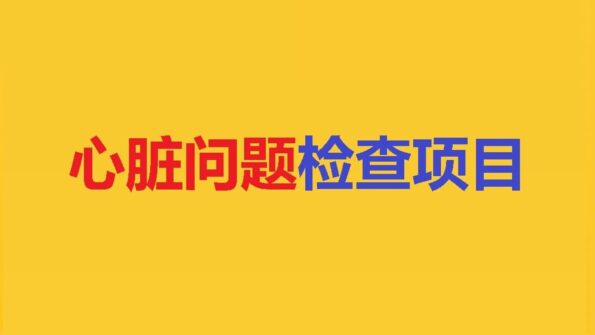 冠脉CTA、CT-FFR、FFR、IMR 等心脏检查项目示意图