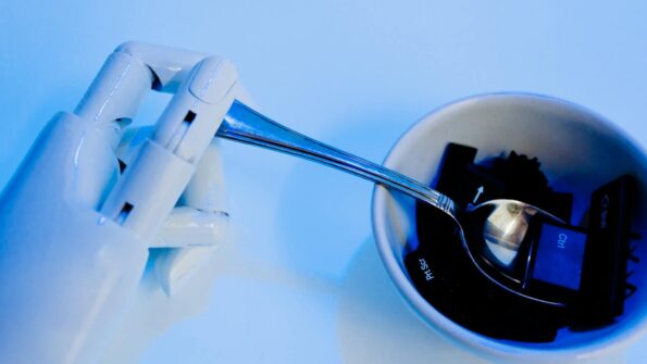 厨房台面上的油脂与调料容器，象征种子油与烹饪用油选择